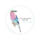 This unique and beautiful sticker is the perfect way to add some beauty to your vehicle's interior. This sticker features a beautiful bird watercolour artwork, by CL Creative Studio!