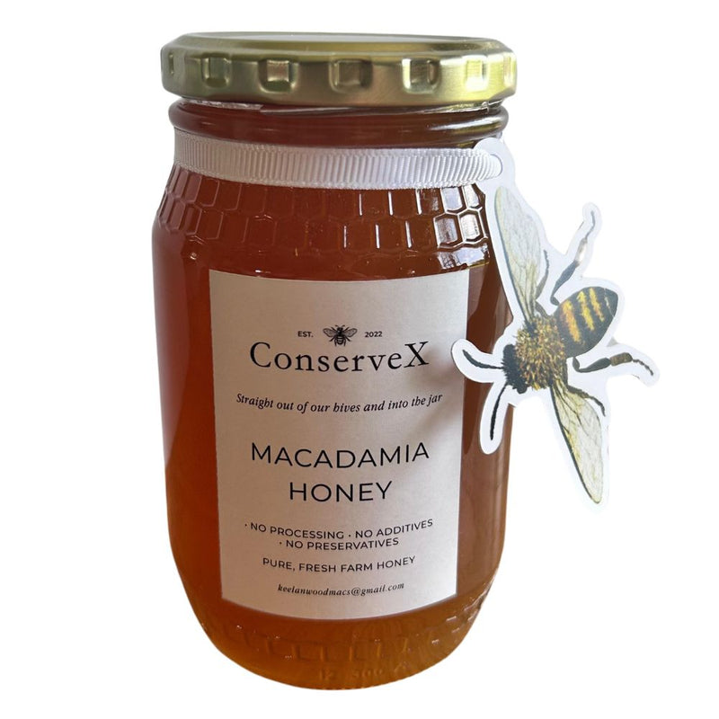 Macadamia Pure Honey - 500g