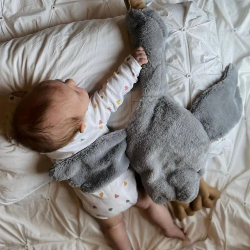 SNOOZ GOOZ

Snuggly Soft and the cutest new friend.

Fabric -Faux Fur
Our Gooz has a zip feature.
Hand crafted in South Africa