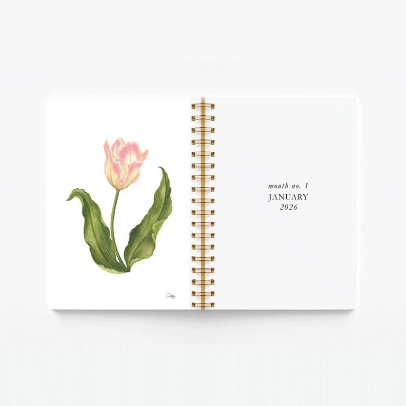 A5 sized (146 x 210mm): A lightweight option suitable for handbags and easy transport