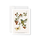 Beautiful Greeting Cards - Blank Inside