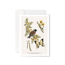 Beautiful Greeting Cards - Blank Inside