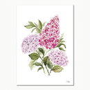 A beautiful Fine Art print painted in watercolour by Libby