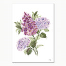 A beautiful Fine Art print painted in watercolour by Libby