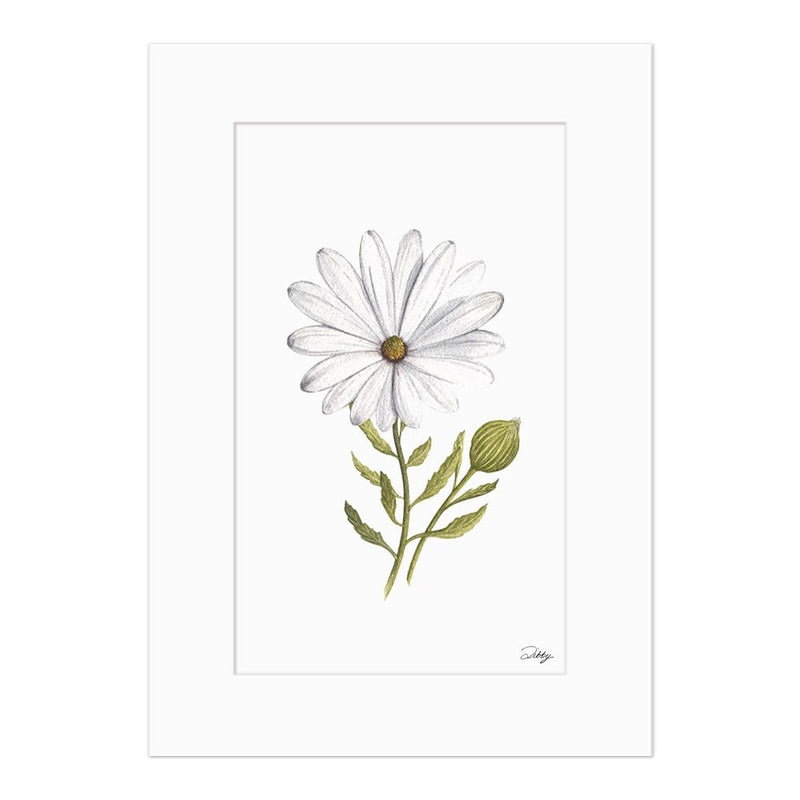 A beautiful Fine Art print painted in watercolour by Libby