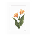 A beautiful Fine Art print painted in watercolour by Libby