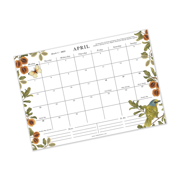 A bright and beautiful celebration of South Africa's Flora and Fauna, our brand new- 2025 calendar collection in here and they are covered in Libby's most detailed birds, butterflies and bountiful botanicals. 