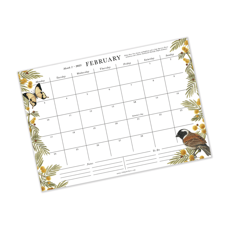 A bright and beautiful celebration of South Africa's Flora and Fauna, our brand new- 2025 calendar collection in here and they are covered in Libby's most detailed birds, butterflies and bountiful botanicals. 