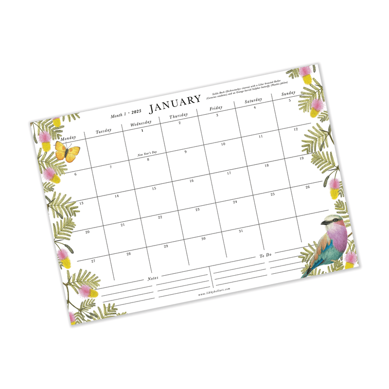 A bright and beautiful celebration of South Africa's Flora and Fauna, our brand new- 2025 calendar collection in here and they are covered in Libby's most detailed birds, butterflies and bountiful botanicals. 