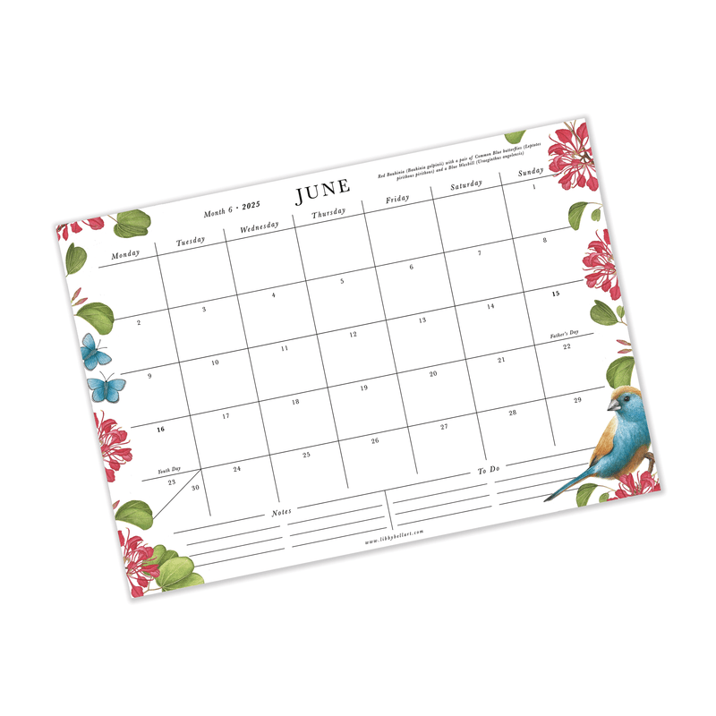 A bright and beautiful celebration of South Africa's Flora and Fauna, our brand new- 2025 calendar collection in here and they are covered in Libby's most detailed birds, butterflies and bountiful botanicals. 