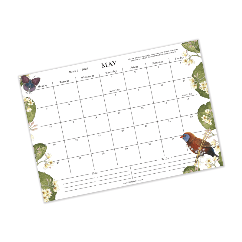 A bright and beautiful celebration of South Africa's Flora and Fauna, our brand new- 2025 calendar collection in here and they are covered in Libby's most detailed birds, butterflies and bountiful botanicals. 