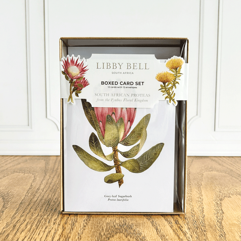 A set of 12 exquisite watercolor prints by Libby, each on its own greeting card, accompanied each by their common and Latin names 