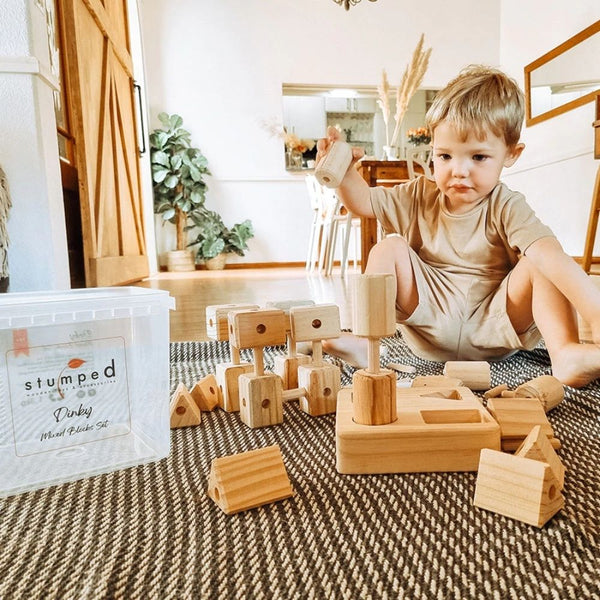 Jislaaik Online Shop Stumped Wooden Toys & Accessories - Knock-a-Block - Dinky Mixed Blocks Set